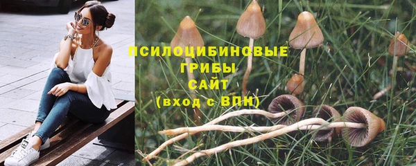 дмт Алексин